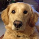 Les Polk - @Lesgopack - Twitter