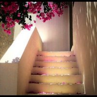 سحاقية الخرج 2 (@roro1234411) 's Twitter Profile