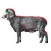 Black_Sheep's profile picture. Joyful resistance from the bleating heart of the Apocalypse. Documentary & speaker series with @ZiyaTong