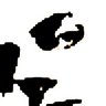 quartopiano's profile picture. 