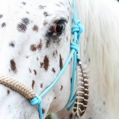 Exclusieve handgemaakte producten voor je paard! Touwhalsters, teugels, neckropes, indianenstijl sets & meer. Grootste aanbod, levering over de gehele wereld.