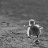 Hey im Larry. Happily married with my Macy. FREE THE CHICKS