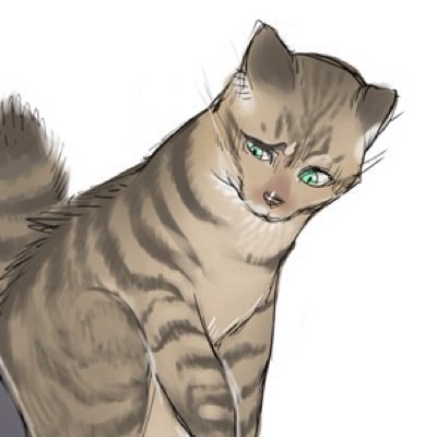Meowing titans to death since 850. ||Bothering @levimeow || Spirit-animal || Growing found of @Weevai