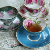 The Tea Room Miami (@tearoommiami) 's Twitter Profile