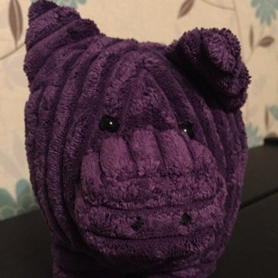 apiggyadventure's profile picture. This page is independant and not the offical page of the Utility Warehouse. For the most up to date info please go to http://t.co/bjRTyBb2wM