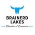 Brainerd Lakes (@brainerdlakes) Twitter profile photo