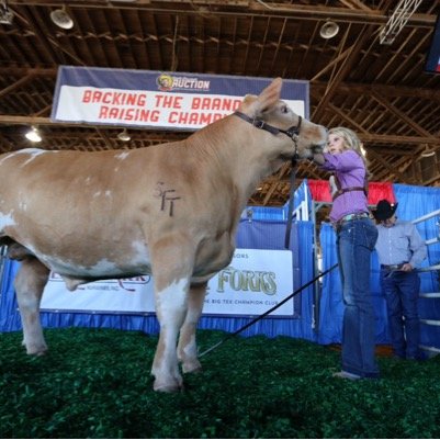 Cattle feed product, revolutionizing feeding ability, one calf at a time. To order DM or call (903)388-9592