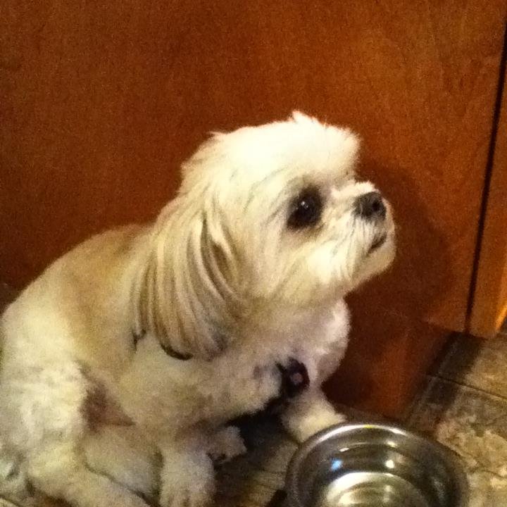 nordion_i_am's profile picture. 