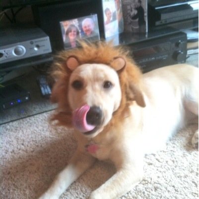 SKERSby99's profile picture. 