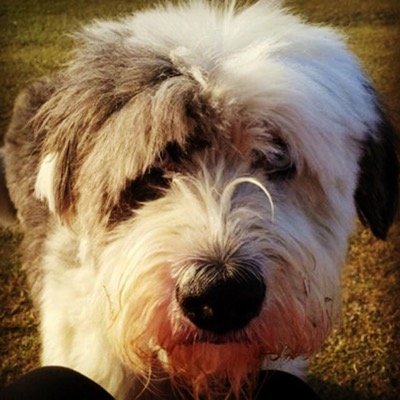 Soph88858350's profile picture. 