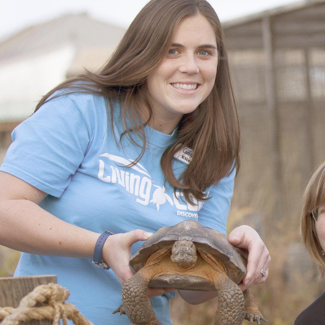 Hi I'm Liz tweeting on behalf of the Desert Tortoises @thelivingcoast Discovery Center!