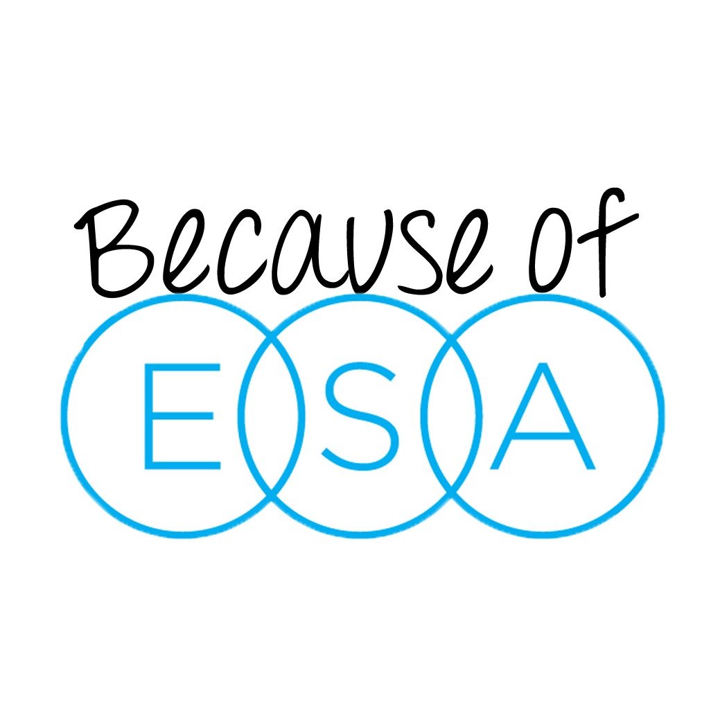 BecauseOfESA's profile picture. 