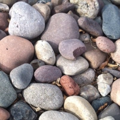 andiczech's profile picture. 