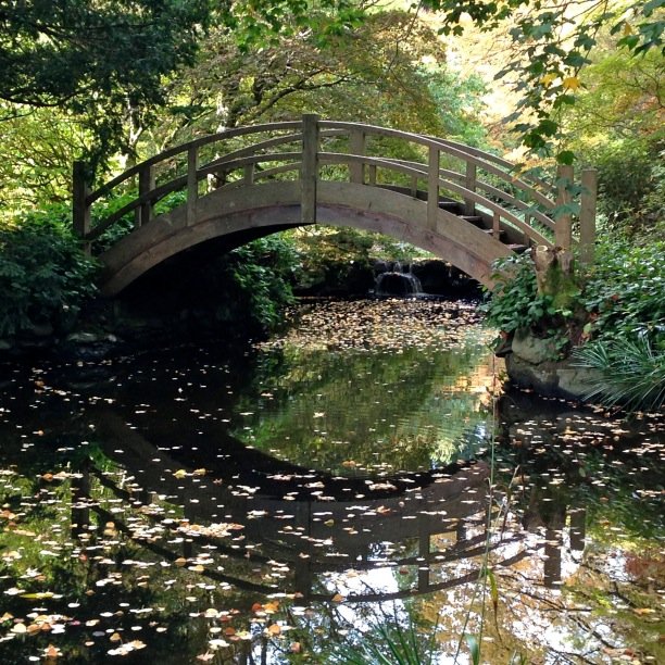 scottravelblog's profile picture. 