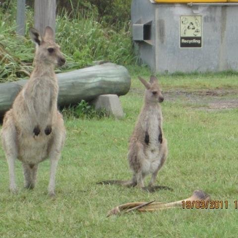 Dont reply to DM or email
Interested in most things.
Need to be honest 
LNP  most are not 🤑