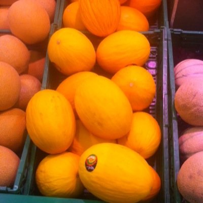 Official account of Yellow Melons