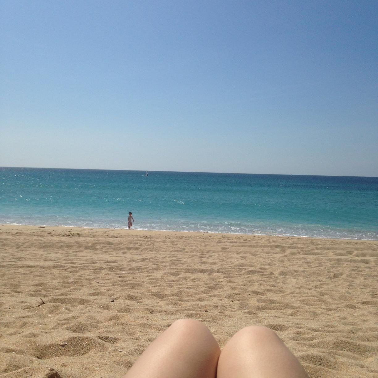 becalous's profile picture. sobreviviendo a base de soñar despierta