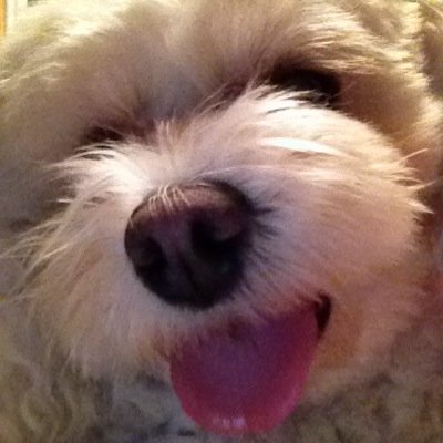 24Jane24's profile picture. 