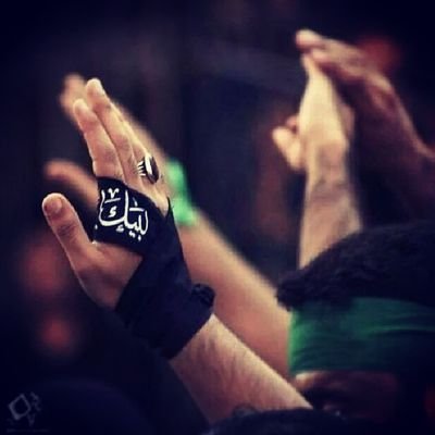 على يدي ينبت الياسمين ويذبل