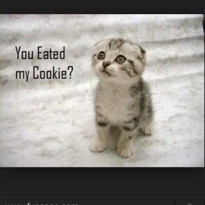 braylonking's profile picture. 