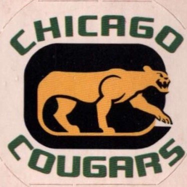 Retired Chicago Park District Supervisor