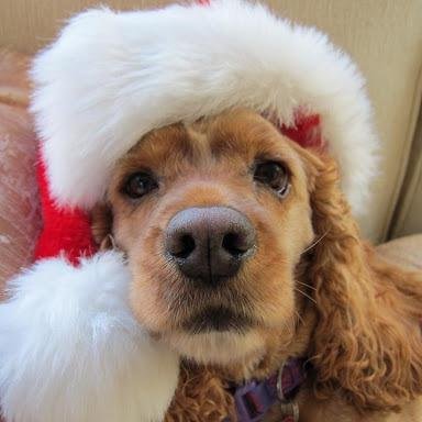 lrenshawATeam's profile picture. 