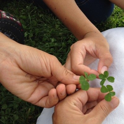 selmaakkaya3's profile picture. journaliste kurde