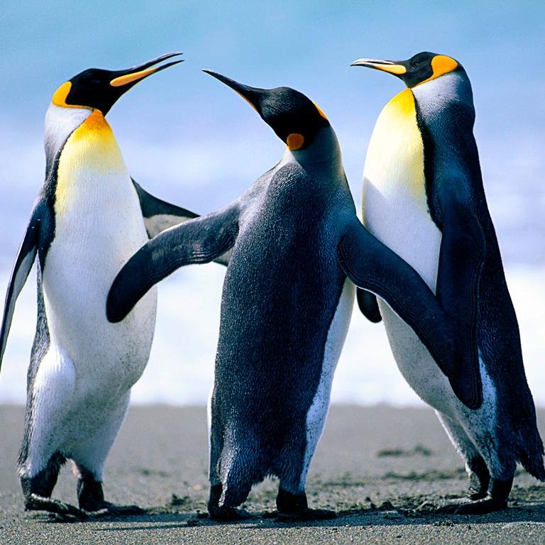 hellooo...