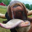 Patrick Hahn - @JJt_hahn - Twitter