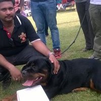 Thamizh Selvan R (@4b3641dfb81c4cf) 's Twitter Profile