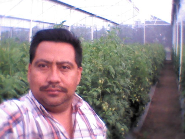 Ingeniero Agronomo en Horticultura, Universidad Autonoma Agraria Antonion Narro