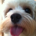 Laura Bence - @EncompassTA - Twitter