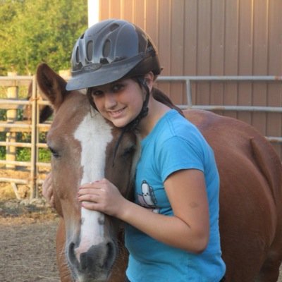 horses