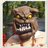 nastymutts's profile image