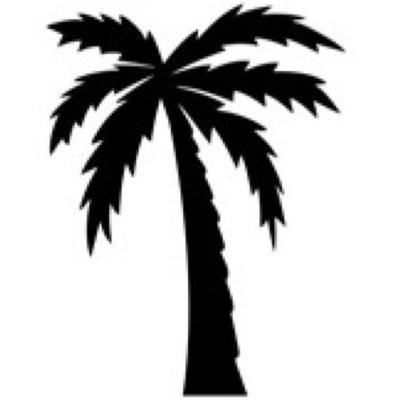 CEO @souljaboy Tree Life