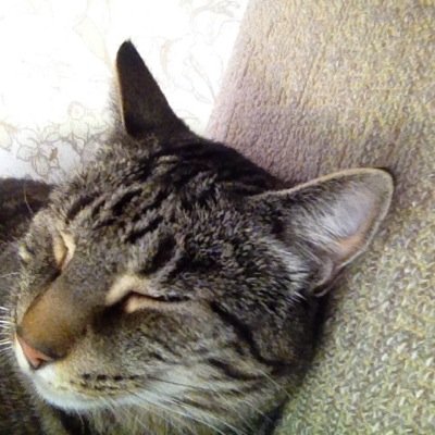 Aquarian born ahead of my time. Feline friend. Family first.