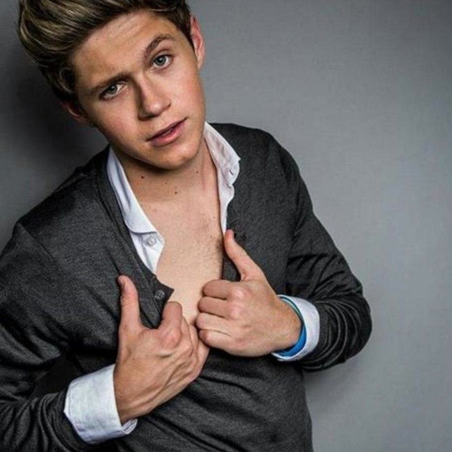 just another girl who loves niall