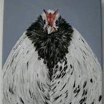 chickranchero's profile picture. 