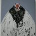 chickenrancher (@chickranchero) Twitter profile photo