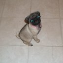 sharon odom - @specialk13939 - Twitter