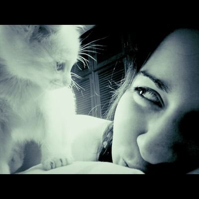 soyGle's profile picture. 