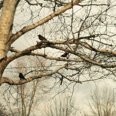 timetogo15's profile picture. 