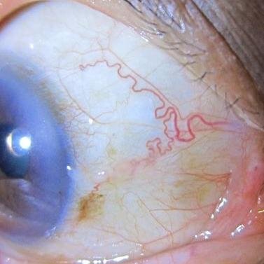 PUSAT PENGELOLAAN KESEHATAN ALAMI. KAMI MENDIAGNOSA DAN MEMBERIKAN SOLUSI UNTUK MERAIH DAN MEMPERTAHANKAN KESEHATAN