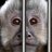 keepgklockedup's profile image