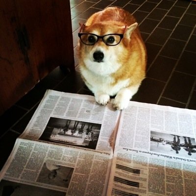 BertoRVA's profile picture. 