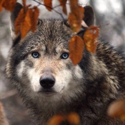 kyle_nixon_67's profile picture. I'm not kyle nixon