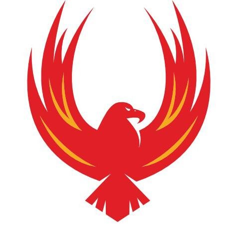 phoenixbladessw's profile picture. 