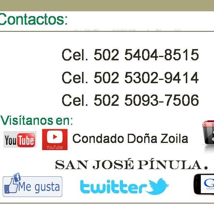 rigelventas's profile picture. 