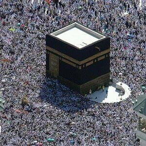 elnoman_88's profile picture. 