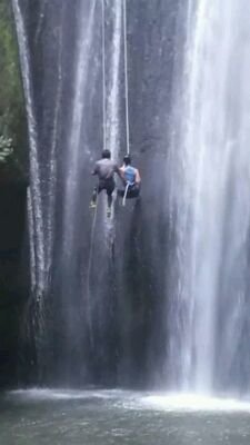 NanSeal's profile picture. 